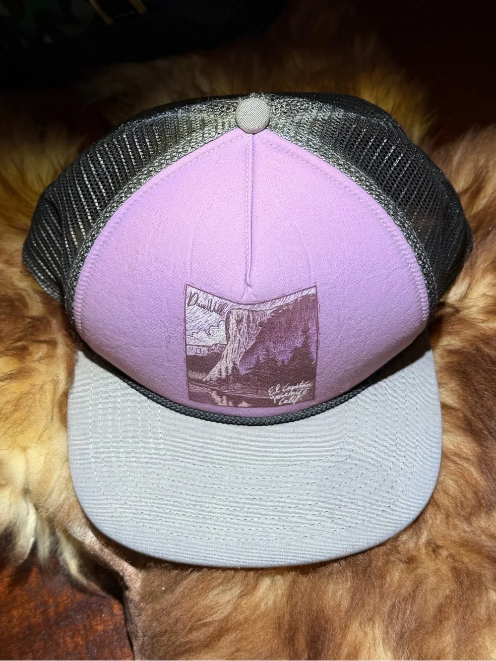 Patagonia El Cap Classic Interstate Hat
